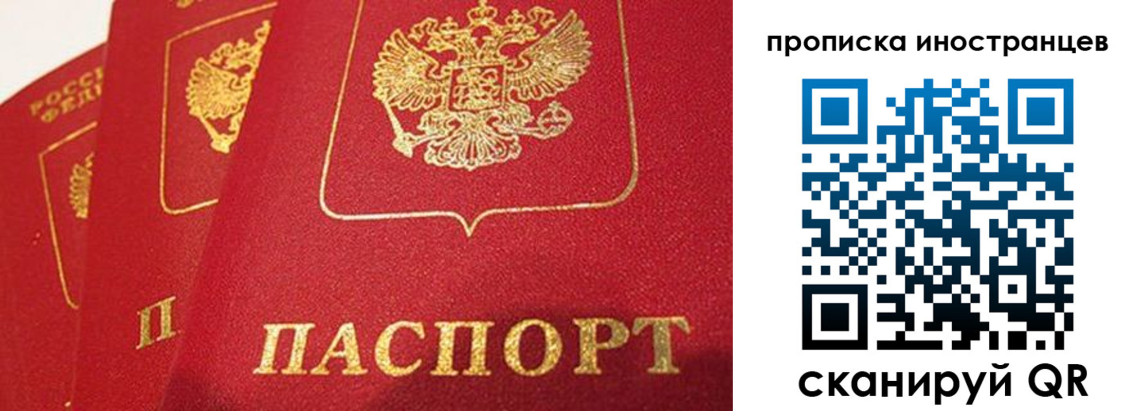 прописка поиск в Жердевке